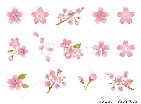 桜 絵文字 春 ピンクの写真素材