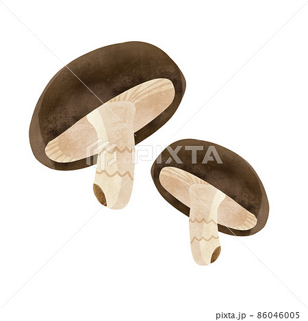 しいたけのイラスト素材集 ピクスタ