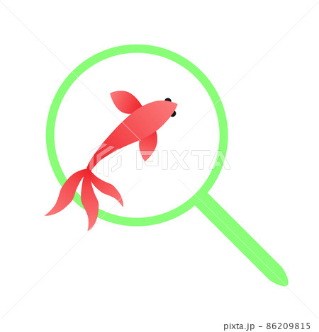 縁日 金魚すくい 夏祭り すくうのイラスト素材 縁日 金魚すくい 夏祭り すくうのイラスト素材