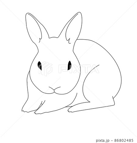 うさぎ 動物 ウサギ リアルのイラスト素材 うさぎ 動物 ウサギ リアルのイラスト素材
