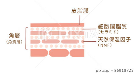 天然保湿因子