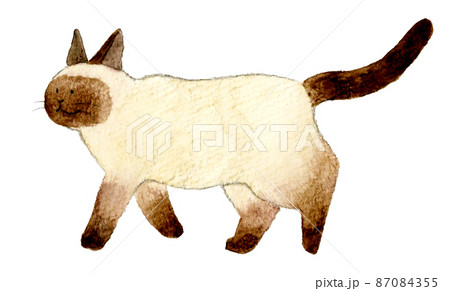 動物 猫 イラスト 横向きのイラスト素材