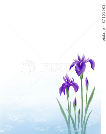 杜若 花 植物 蕾のイラスト素材