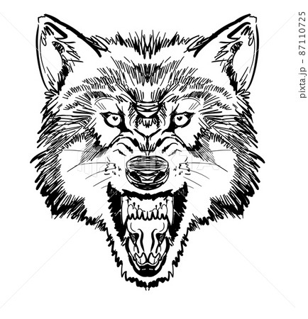 オオカミ 狼 のイラスト素材集 ピクスタ