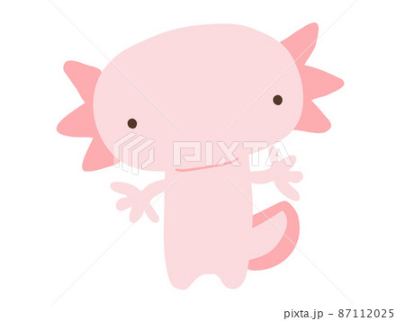 ウーパールーパーのイラスト素材集 ピクスタ