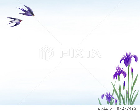 杜若 花 植物 蕾のイラスト素材