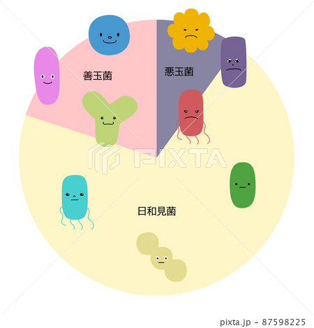 乳酸菌のイラスト素材