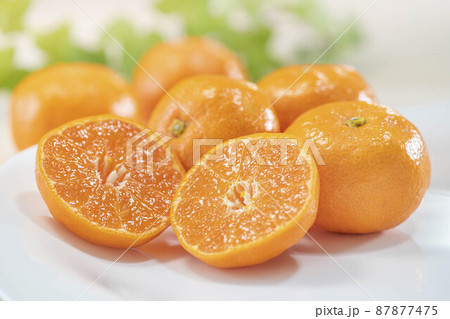Kotatsu, mandarin orange and cat Japanese style - Stock Illustration  [96095419] - PIXTA