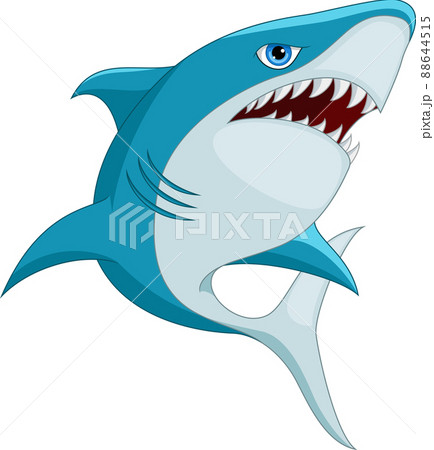 サメ 鮫 魚 怖いのイラスト素材