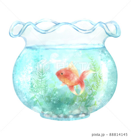 水槽 金魚鉢のイラスト素材集 ピクスタ
