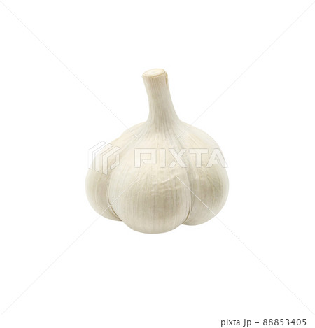 にんにくのイラスト素材集 ピクスタ
