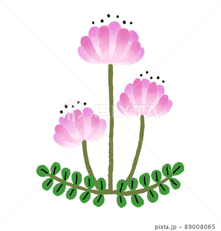 れんげのイラスト素材 れんげのイラスト素材