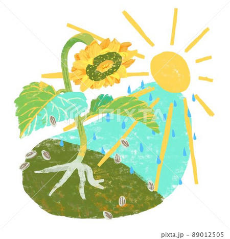 理科 植物のイラスト素材