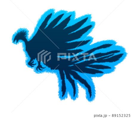 鳳凰 フェニックスのイラスト素材