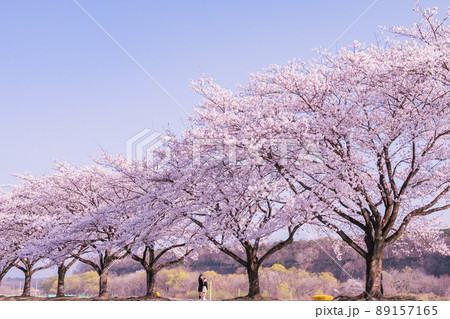 川のある風景 3062f0d871af4c39c1baf621a82329