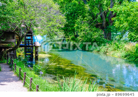 安曇野 清流 水車 水草の写真素材 - PIXTA