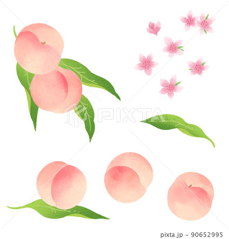 フルーツ 桃 イラスト かわいいのイラスト素材