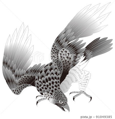 鳥 鷹 猛禽類 水墨画のイラスト素材 - PIXTA