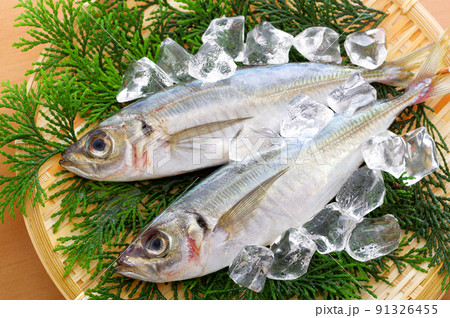 秋アジの写真素材 秋アジの写真素材