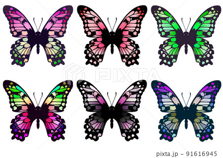 蝶々 蝶のイラスト素材