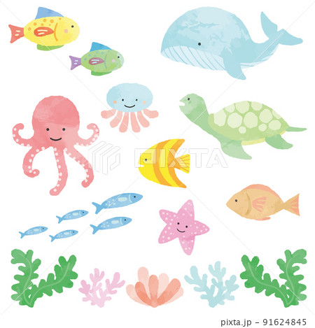 海亀のイラスト素材