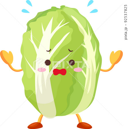白菜のイラスト素材集 ピクスタ 白菜のイラスト素材集 ピクスタ