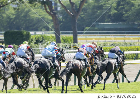 馬 サラブレッド 競走馬 後姿の写真素材