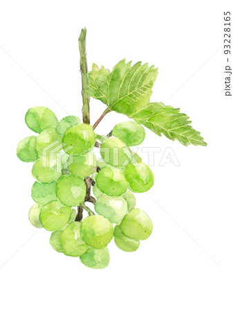 e0eadc22ed40bcdb8b58020f56e56b