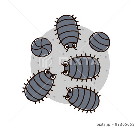 ダンゴムシのイラスト素材