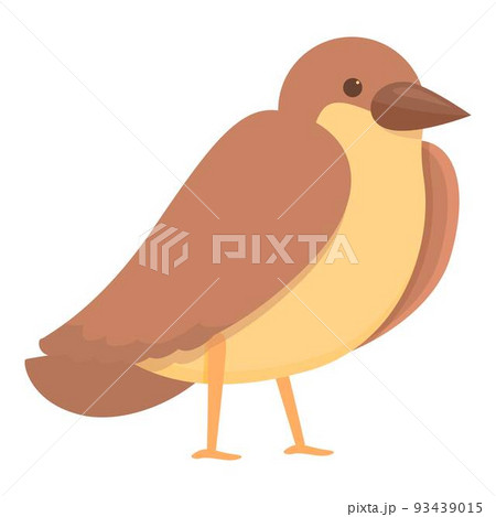 イラスト 鳥 正面 飛ぶの写真素材