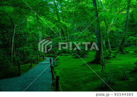 日本庭園 庭園 庭 苔の写真素材 - PIXTA