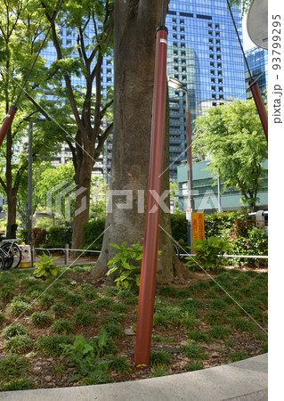 支線ワイヤーの写真素材