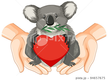 Cute koala cartoon character - Stock Illustration [106230492] - PIXTA