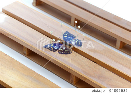 展翅板の写真素材 - PIXTA