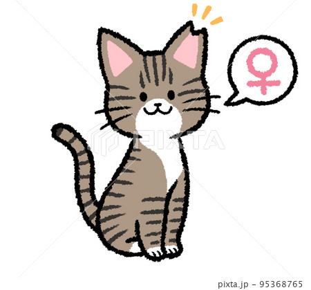 桜猫のイラスト素材 - PIXTA