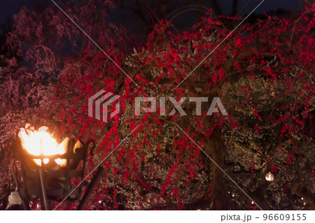 かがり火花の写真素材