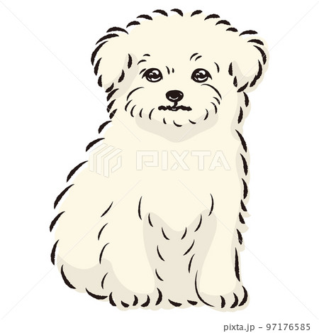 【kazu】 鉛筆画 犬 チワワ マルチーズ 手描き イラスト 原画 kazu】 鉛筆画 犬 チワワ マルチーズ 手描き イラスト 原画 kazu