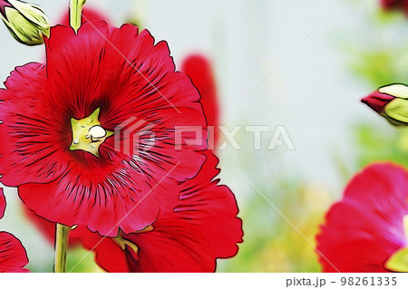 芙蓉 花 植物 秋のイラスト素材 - PIXTA