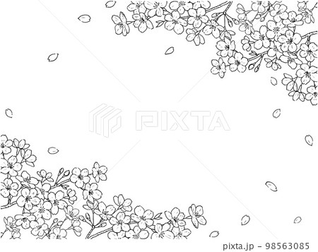 花 手描き 手書き ペン画のイラスト素材