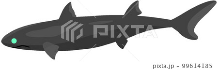 深海サメのイラスト素材 - PIXTA