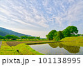 No.3【紀美野の水田里風景】 水田風景 | GANREF