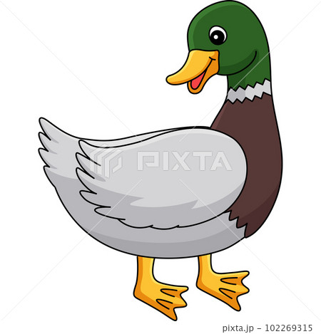 hawk clipart cartoon ducks