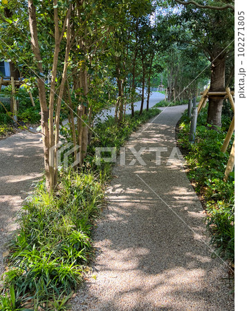 美しいタワーマンションのアプローチ