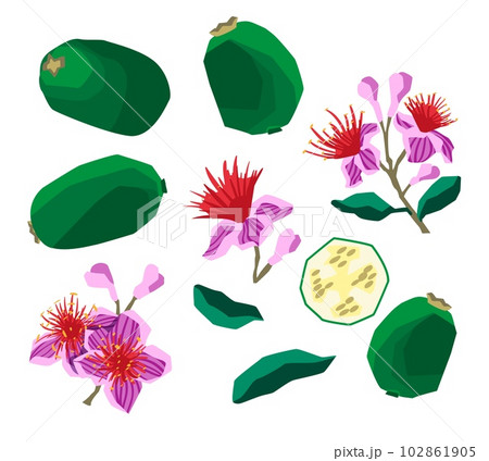 Wildflower meadow collection. Watercolor hand drawn wild flowers and herbs  illustration, isolated on white background. Purple coneflower, bluebell,  daisy, pink clover, baby cosmos. Floral set. Stock Illustration