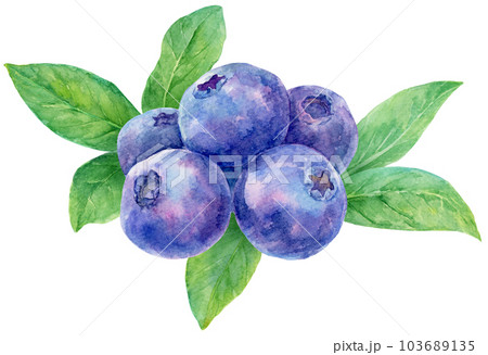 定番最安値blueberry 様　専用 バッグ