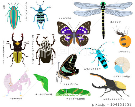 ハナカマキリのイラスト素材 - PIXTA