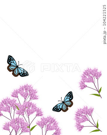 花 アサギマダラのイラスト素材 - PIXTA