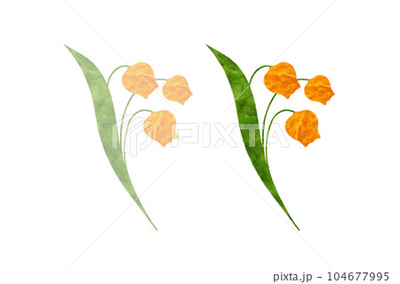 サンダーソニアのイラスト素材 - PIXTA