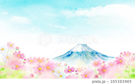 コスモス 秋桜 コスモス畑 風景画のイラスト素材 - PIXTA