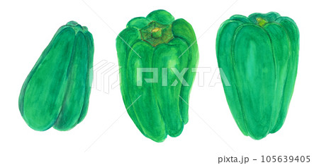 ピーマン 野菜 水彩画 夏野菜のイラスト素材 - PIXTA
